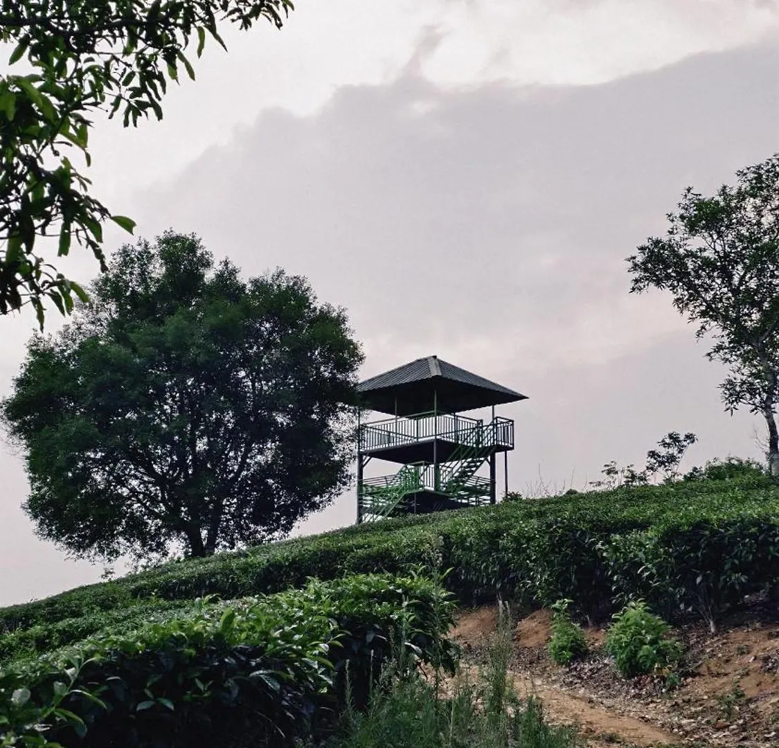 Villa Tea Mitra Holiday Homes Vagamon India