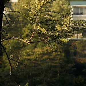 Semesteranläggning (resort) Falcon Crest, Vagamon